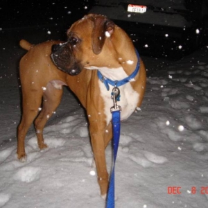 Snow!