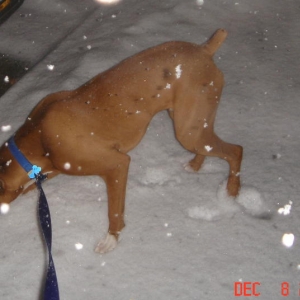 Snow!