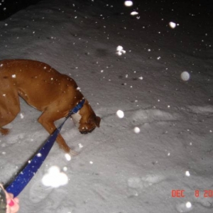 Snow!