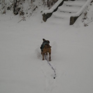 snow baby