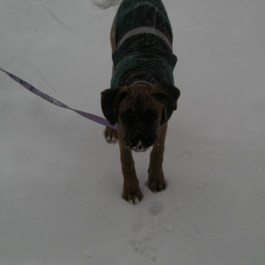 mom i love the snow!