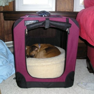 Whose crate is this?
