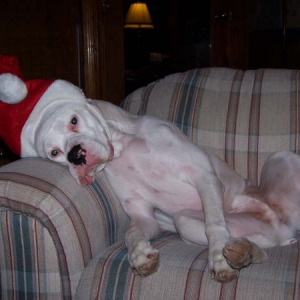 Santa Oscar