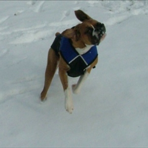 Playing in the snow!