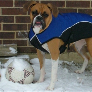Soccer anyone?