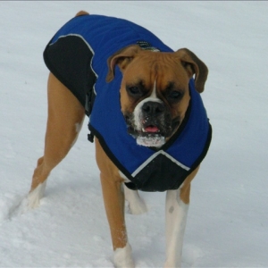 Snow is fun