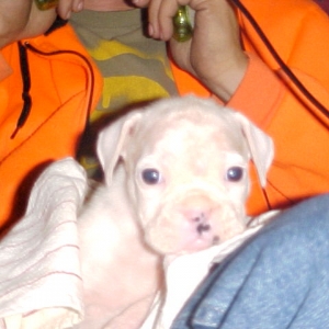 New baby