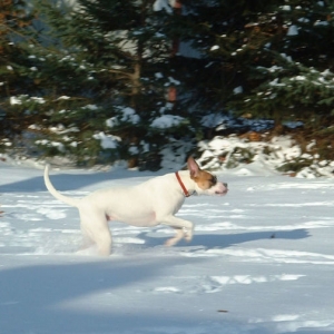 Hannah In Snow