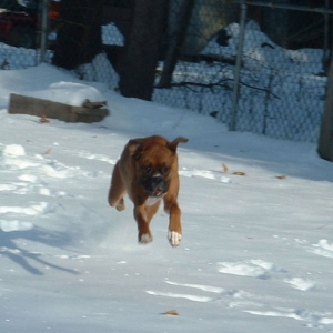 Samson In The Air