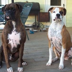 Welcome to our Porch!
