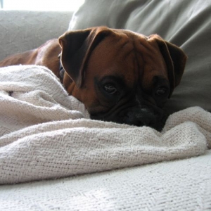 Aren't I sweet?