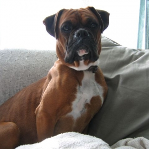 Adrian sitting pretty