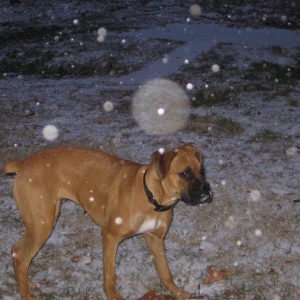 1st Snow for Madi