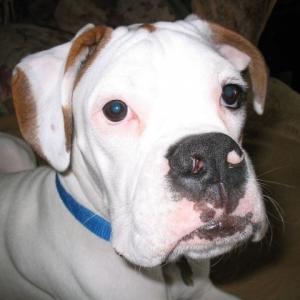 Jack at 8 months