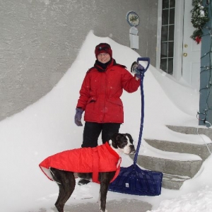 Snowed in...