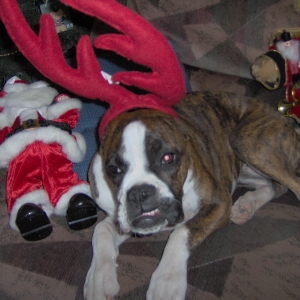 Okay mom ENOUGH! Bah Humbug!