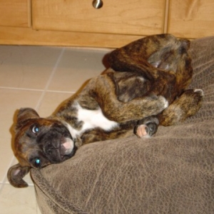 My New Bed