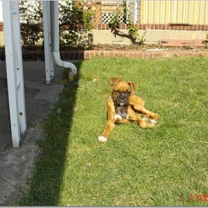 sunbathing