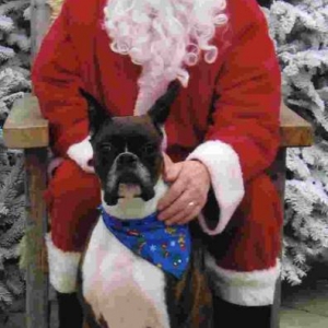 Lola & Santa