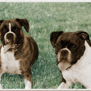Marley & Raven