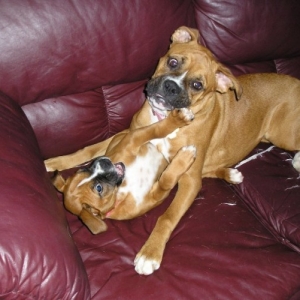 We weren't doing anything