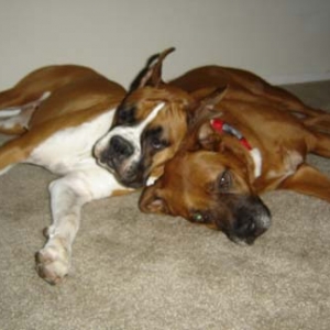cuddletime