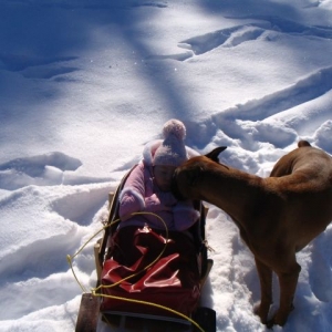 Cooper and Olivia sledding