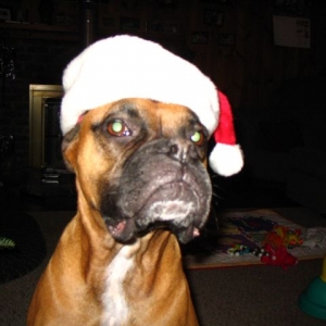 Bah humbug!