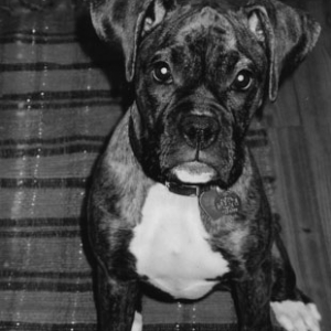 My baby sitting pretty