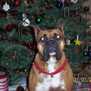 heidi2005