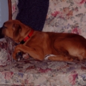 Keeya's_Chair