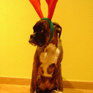 Vilma Xmas 2005
