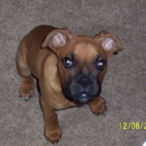 Rocky - 3 1/2 months