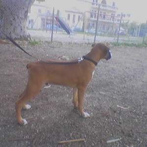 at the park