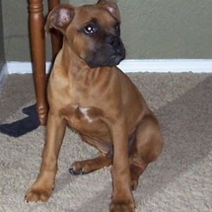 Our handsome boy!