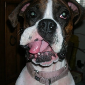 Cany YOU do this with your tongue?