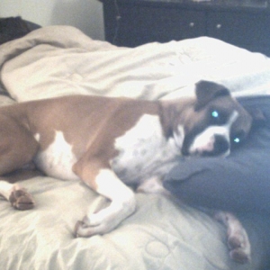 Every Morning the Same thing