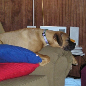 lazy window watching