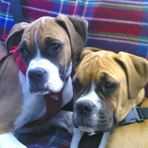 Demi and Rory 5mths
