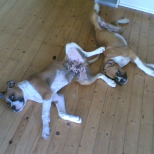 Demi and Rory 5mths