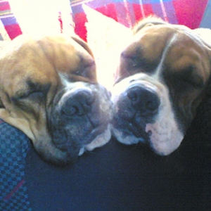 Demi and Rory 5mths