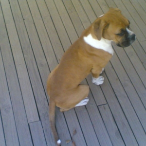 Demi 5mths