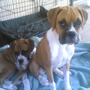 Demi and Rory 5mths