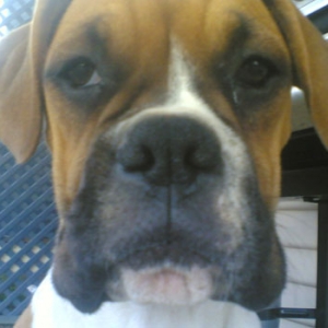Demi 5mths