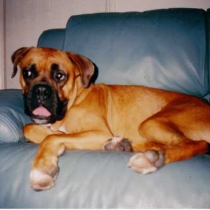 Bailey