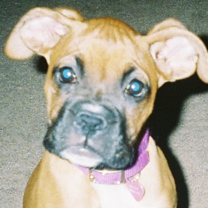 Gracie!