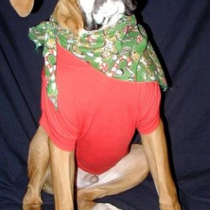 1st Christmas