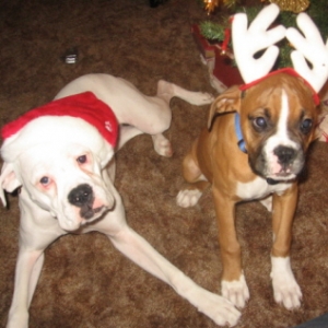 Oh,  the humiliation, she is killing us HELP!!!