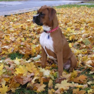 Lola's Thinking