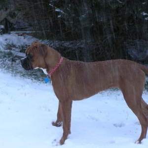 Enjoying the snow